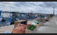 alghero cadavere nel porto forse caduto in mare da una barca