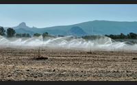 oristano stagione irrigua pi superifci ma minore consumo d acqua