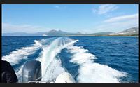 sardegna azzurra domani alle 14 30 nell oasi di bidderosa a orosei