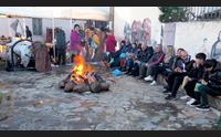 serri saboris antigus