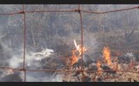grande incendio a siniscola case distrutte campagne devastate l ira del sindaco