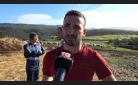 sassari lingua blu l allarme nel nord sardegna serve una lotta agli insetti