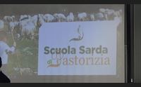 sassari riscoprire l antico mestiere del pastore con la scuola sarda di pastorizia