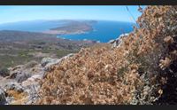 (x mer) tg ambiente asinara con imprese certificate