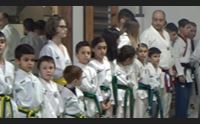 taekwondo non solo un arte marziale ma una disciplina dai molteplici benefici