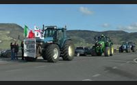 la protesta degli agricoltori arriva nel sassarese no alla pac e al caro prezzi
