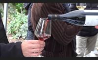 il mandrolisai protegge il suo oro nasce il consorzio di tutela del vino