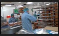 formaggio ovino accordo a oristano tra cao e granterre per l export all estero