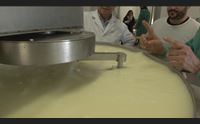 lotzorai il formaggio frip per pazienti con insufficienza renale