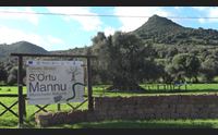 villamassargia s ortu mannu nell ultimo lavoro del botanico stefano mancuso