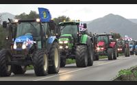 sulcis manifestazione degli agricoltori il settore ovino in pericolo