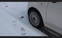 fonni freddo e neve sul gennargentu nessun disagio alla viabilit