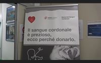 la banca del sangue cordonale la donazione pu salvare una vita