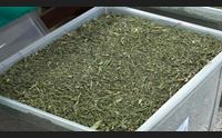 nuoro tra droga e boss il territorio teme infiltrazioni mafiose