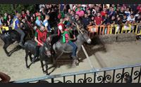 ollolai a roma il palio degli asinelli conquista il marchio di qualit