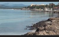 alghero si fa bella via alla pulizia del litorale invaso dalla posidonia
