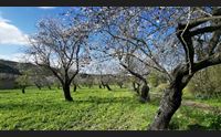 primavera l esperto calda e forse piovosa ma l estate sar torrida
