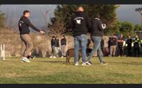 serdiana la polizia locale si forma sulla custodia degli animali