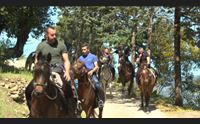 torp per foreste aperte boom di visitatori nel parco di tepilora