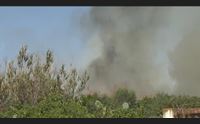 sestu rogo sulla provinciale le fiamme spente a un passo da un club ippico