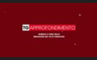 tg approfondimento 26 04 2024