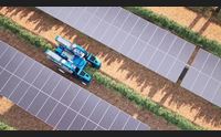 guspini l assalto agrivoltaico continua fermiamo la devastazione