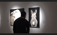 oristano tiliguerta alla scoperta del mondo animale sardo