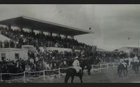 sassari ippodromo pinna nuova tribuna per la cavalcata sarda