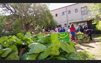 villacidro l orto sinergico i bambini diventano agricoltori