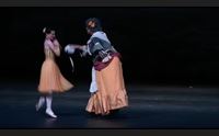 al lirico la grande danza classica la fille mal gard e di hertel