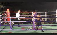 assemini i campioni della boxe contro la violenza sulle donne