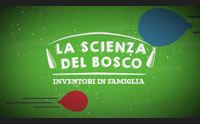 alle 15 su videolina la scienza del bosco esperimenti nella natura