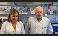 bimbi celiaci sar possibile identificare il rischio insorgenza del diabete