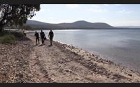 alghero ruspe sul litorale di porto conte violato il parco regionale