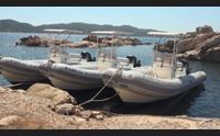 la maddalena ente parco senza vertici un anno senza presidente