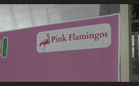 nuoro le pink flamingos in soccorso dell ospedale attendiamo la regione