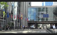 europee fratelli d italia il programma del candidato ruggero razza