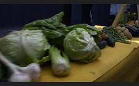 sassari coldiretti a teatro la divina inquinata per mangiare sano