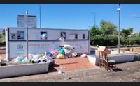 olbia discariche e cinghiali presentato un esposto in procura