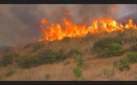 guasila incendio