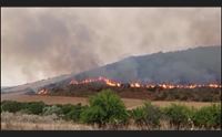 guasila l ennesimo incendio in pochi giorni danni ai campi di grano