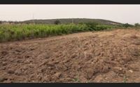 serdiana perdita d acqua ultradecennale in vigna ci sono canneti