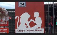 olbia rifugio fratelli minori prosegue la lotta agli abbandoni
