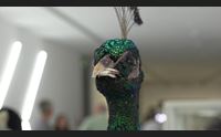 nuoro con diorama l arte fa riflettere sui cambiamenti climatici