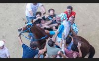 palio di siena il trionfo di carlo sanna di sindia sardegna protagonista