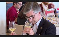 alghero vini