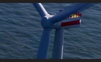 carloforte eolico offshore timore per le stagioni di pesca del tonno