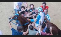 il trionfo di carlo sanna al palio di siena la festa nella sua sindia