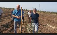 cuglieri il rogo del montiferru la solidariet fa rinascere gli oliveti