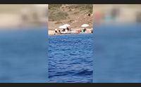 estate cafona lo sbarco all isola di soffi picnic esclusivo in zona rossa
